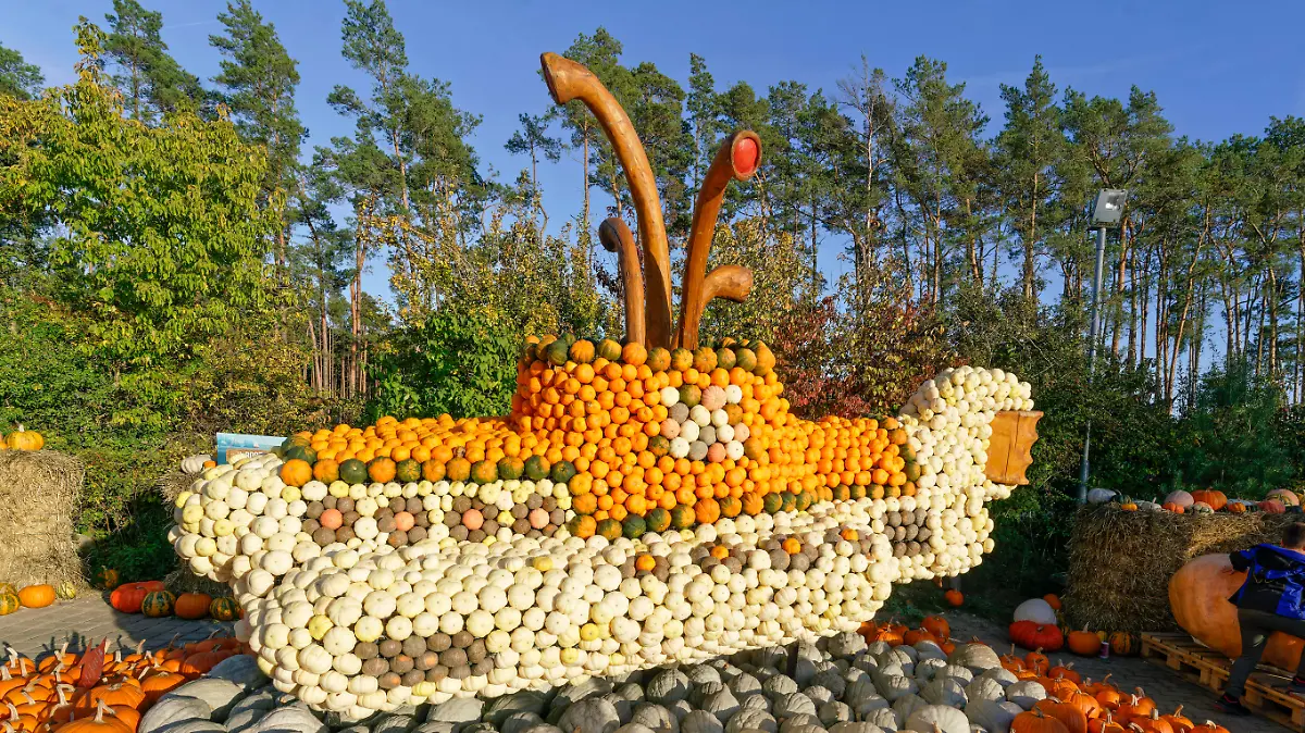  Kürbisausstellung auf dem Spargelhof Klaistow 2022 Kürbisausstellung auf dem Spargelhof Klaistow, Erlebnisbauerhof, Herbst, Potsdam-Mittelmark , Deutschland, *** Pumpkin exhibition at the asparagus farm Klaistow 2022 Pumpkin exhibition at the asparagus farm Klaistow, experience farm, autumn, Potsdam Mittelmark , Germany,