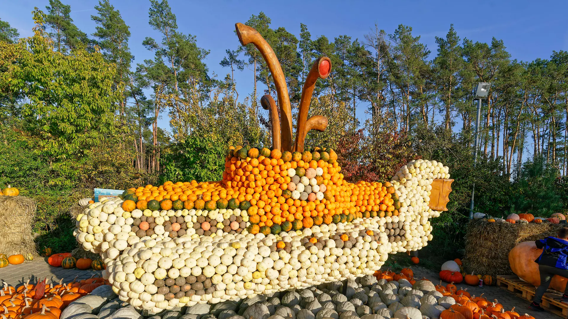  Kürbisausstellung auf dem Spargelhof Klaistow 2022 Kürbisausstellung auf dem Spargelhof Klaistow, Erlebnisbauerhof, Herbst, Potsdam-Mittelmark , Deutschland, *** Pumpkin exhibition at the asparagus farm Klaistow 2022 Pumpkin exhibition at the asparagus farm Klaistow, experience farm, autumn, Potsdam Mittelmark , Germany,