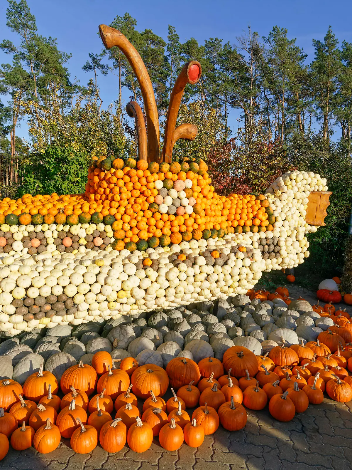  Kürbisausstellung auf dem Spargelhof Klaistow 2022 Kürbisausstellung auf dem Spargelhof Klaistow, Erlebnisbauerhof, Herbst, Potsdam-Mittelmark , Deutschland, *** Pumpkin exhibition at the asparagus farm Klaistow 2022 Pumpkin exhibition at the asparagus farm Klaistow, experience farm, autumn, Potsdam Mittelmark , Germany,