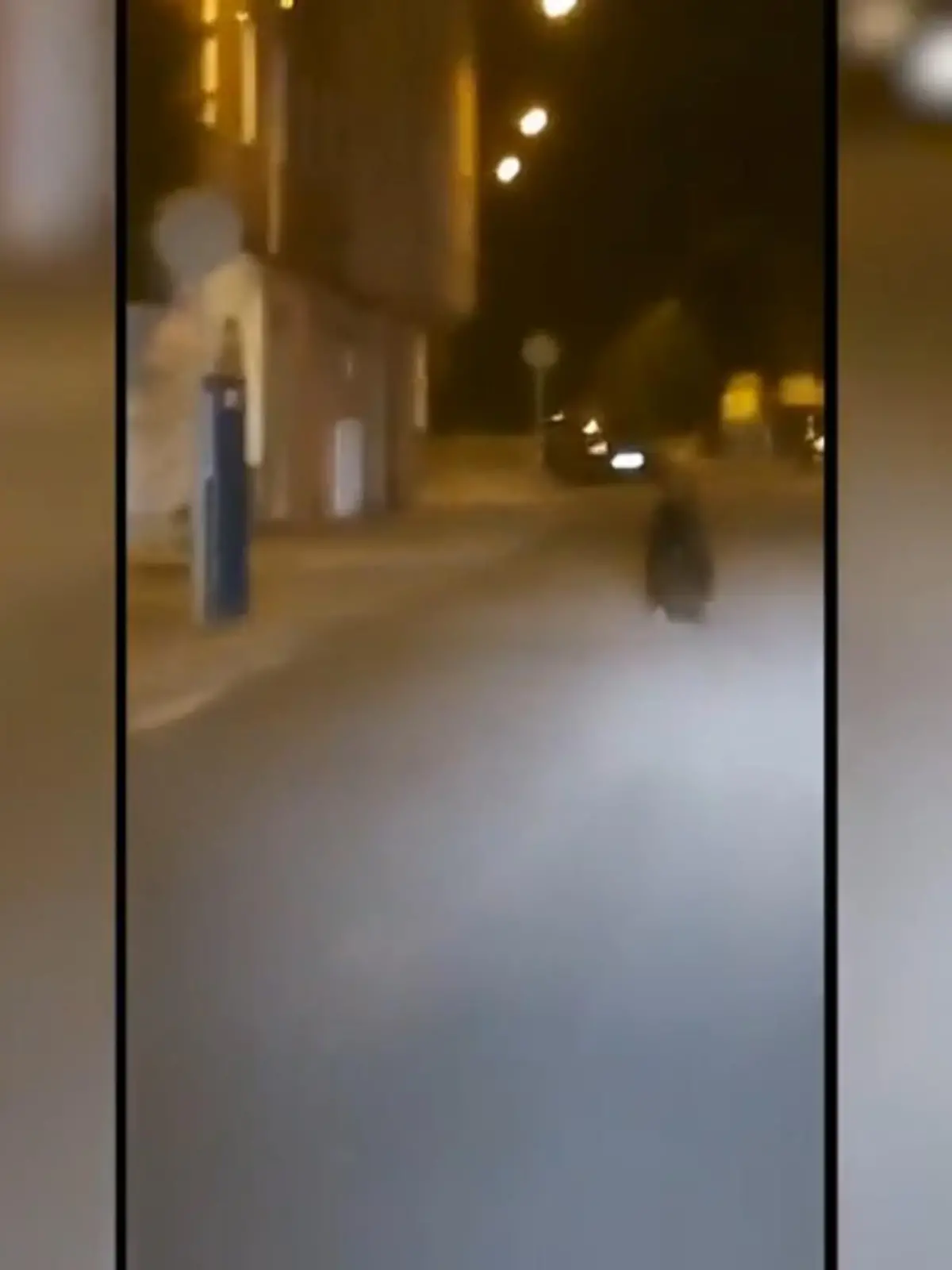 Das war sicher ein Schock für viele Bewohner des spanischen Örtchens Ponferrada. Dort rannte am Dienstagmorgen plötzlich ein Bär durch die Straßen. Ein Taxifahrer filmte die skurrile Szene.