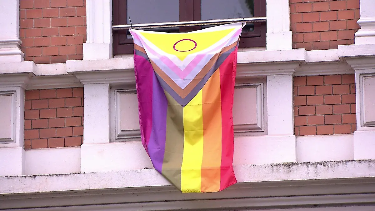 "Progress Pride"-Fahne