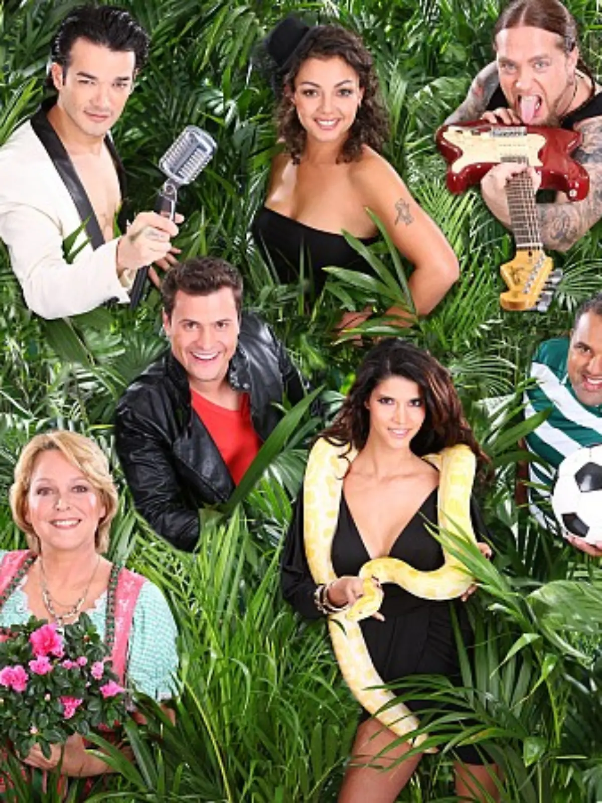 Bild zu: "Dschungelcamp 2012"