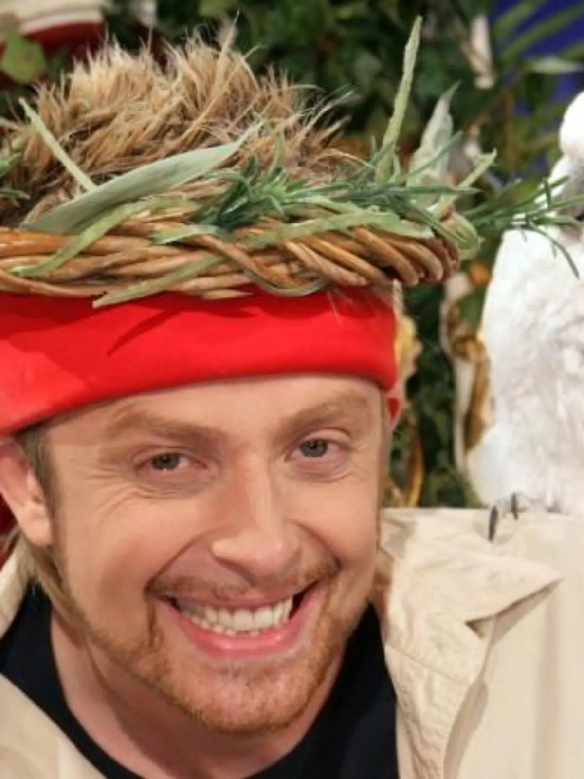 Bild zu: "Dschungelcamp 2008"