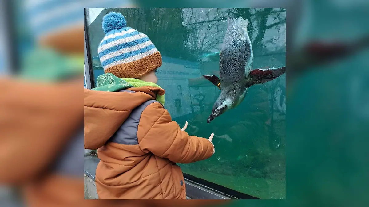 Jonas (4) erhielt mit drei Jahren die Diagnose Leukämie. Fast ein Jahr kämpft er im Krankenhaus erfolgreich gegen den Krebs.