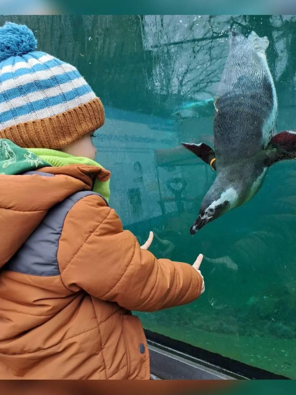 Jonas (4) erhielt mit drei Jahren die Diagnose Leukämie. Fast ein Jahr kämpft er im Krankenhaus erfolgreich gegen den Krebs.