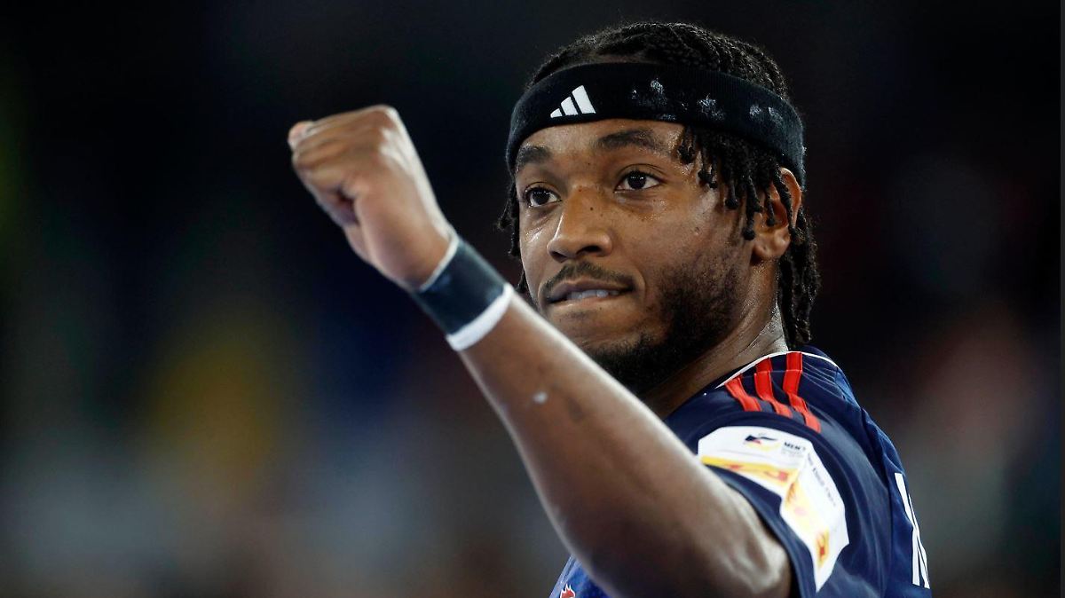 HandballStar Benoit Kounkoud zu Geldstrafe verurteilt Entblößung vor