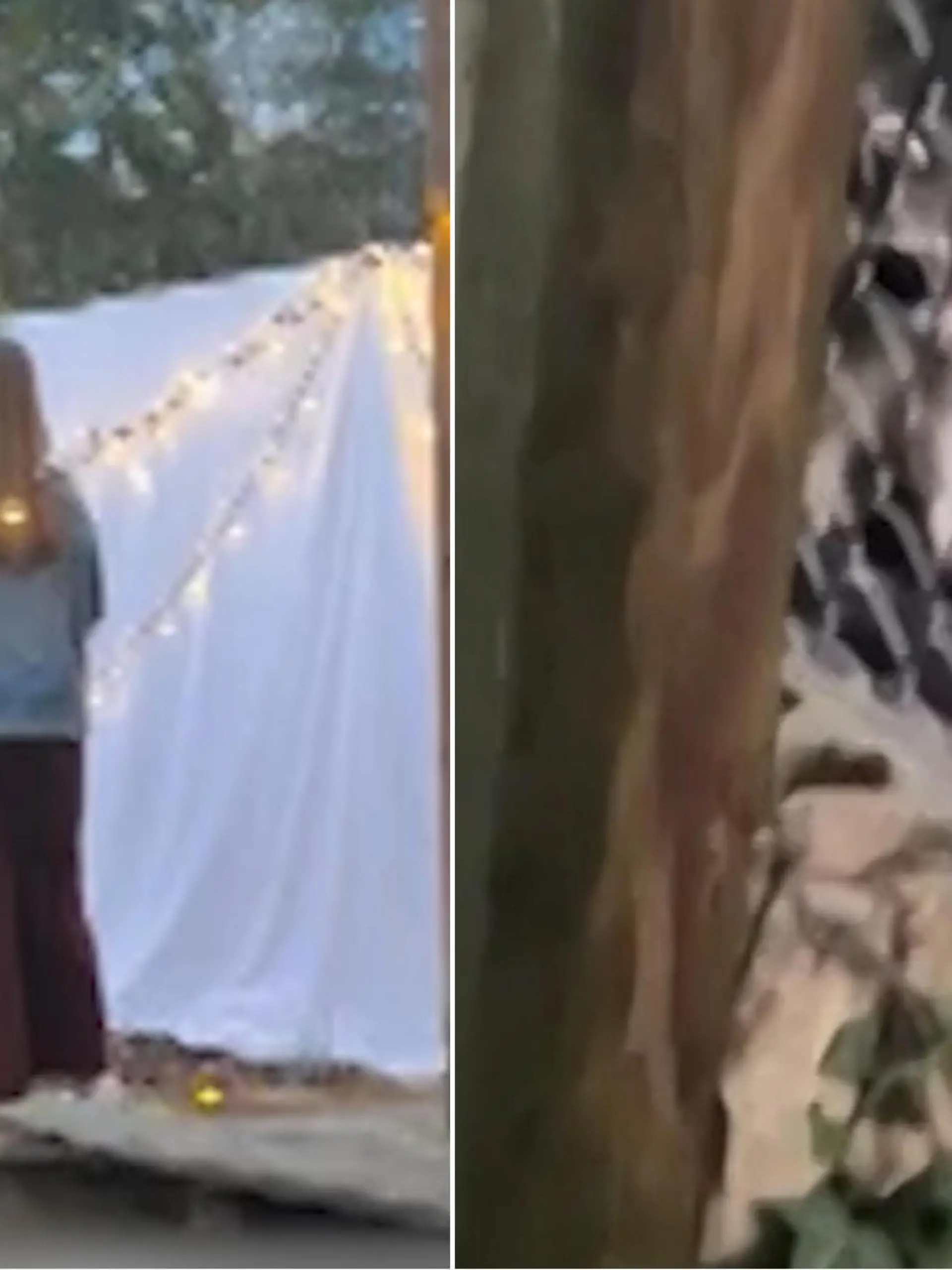 Es sind nur wenige Sekunden, die in diesem Video einiges entscheiden - blöd, wenn genau dann ein niedlicher Waschbär die Szene stört und kurzerhand die Aufmerksamkeit auf sich lenkt.