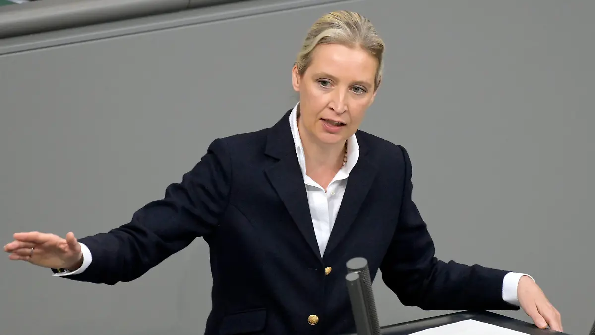 Alice Weidel in der 150. Sitzung des Deutschen Bundestages im Reichstagsgebäude. Berlin, 31.01.2024