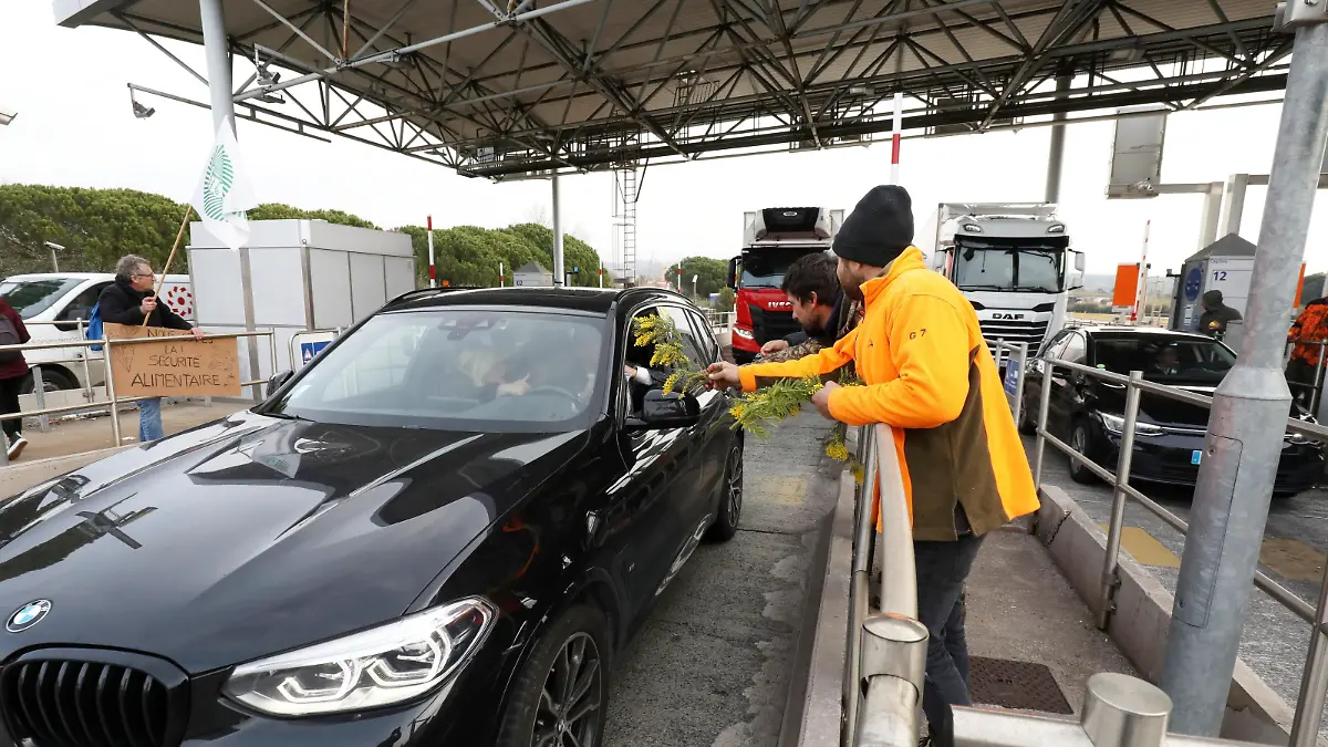 ©PHOTOPQR/NICE MATIN/Philipe Arnassan ; Frejus ; 01/02/2024 ; manif des agriculteurs sur l'autoroute A8 entre puget sur argens et frejus distribution de mimosa - French farmers’ protest continue France feb 1st, 2024 A8 high speed motorway, farmers are offering some mimosas