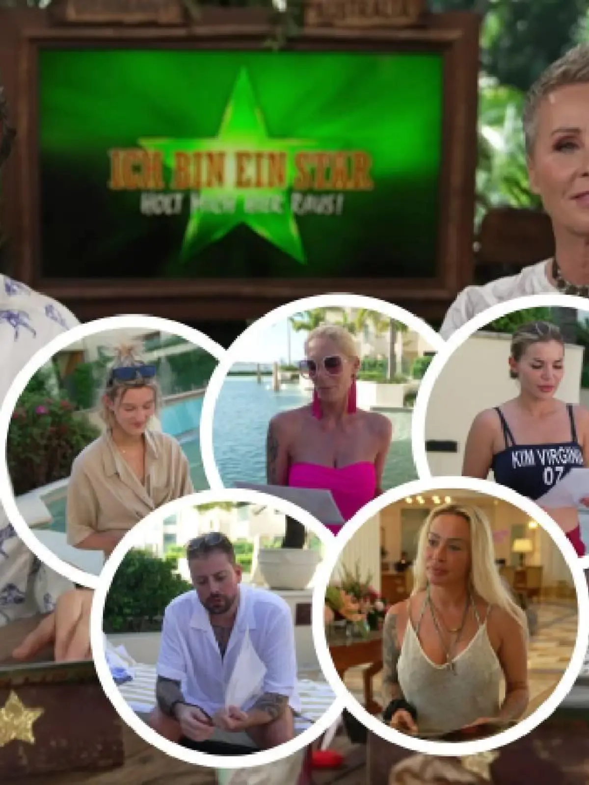 Die Ex-Camper sowie die Moderatoren Sonja und Jan geben ihre Tipps ab: Wer macht das Rennen um die Dschungelkrone?
