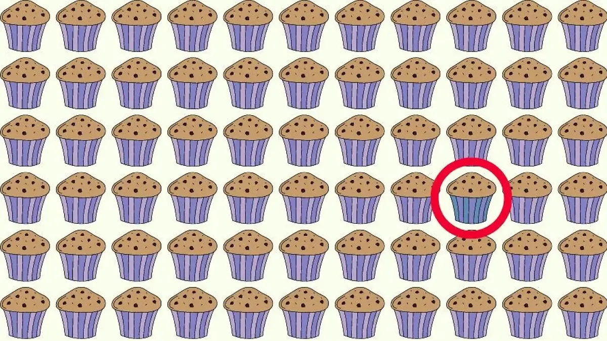 Auflösung Suchbild Cupcake
