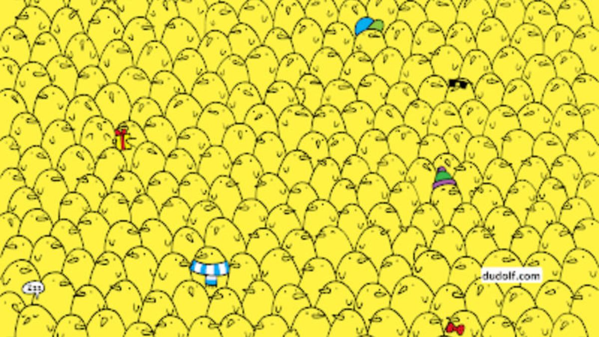 Suchbild: Kannst du die Zitronen zwischen den Küken finden?