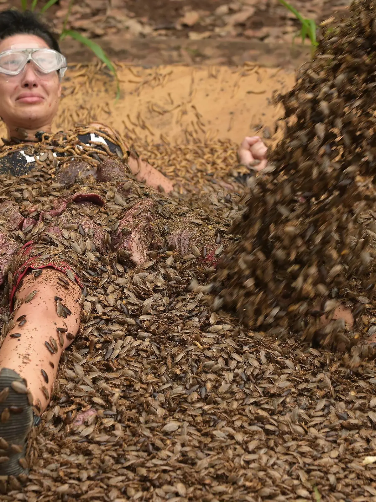 ACHTUNG: SPERRFRIST FÜR ALLE MEDIEN BIS ZUM SHOWENDE, SONNTAG, 4. FEBRUAR 2024, 24:00 UHR !!! Tag 17: Dschungelprüfung "Passion". Leyla Lahouar ist liegend auf einer großen Platte festgeschnallt. Nachdem sie bereits von tausenden Mehlwürmern, Fleischabfällen und Kakerlaken umgeben ist, werden 30 Nester grüne Ameisen auf ihren Körper geschüttet.
+++ Die Verwendung des sendungsbezogenen Materials ist nur mit dem Hinweis und Verlinkung auf RTL+ gestattet. +++