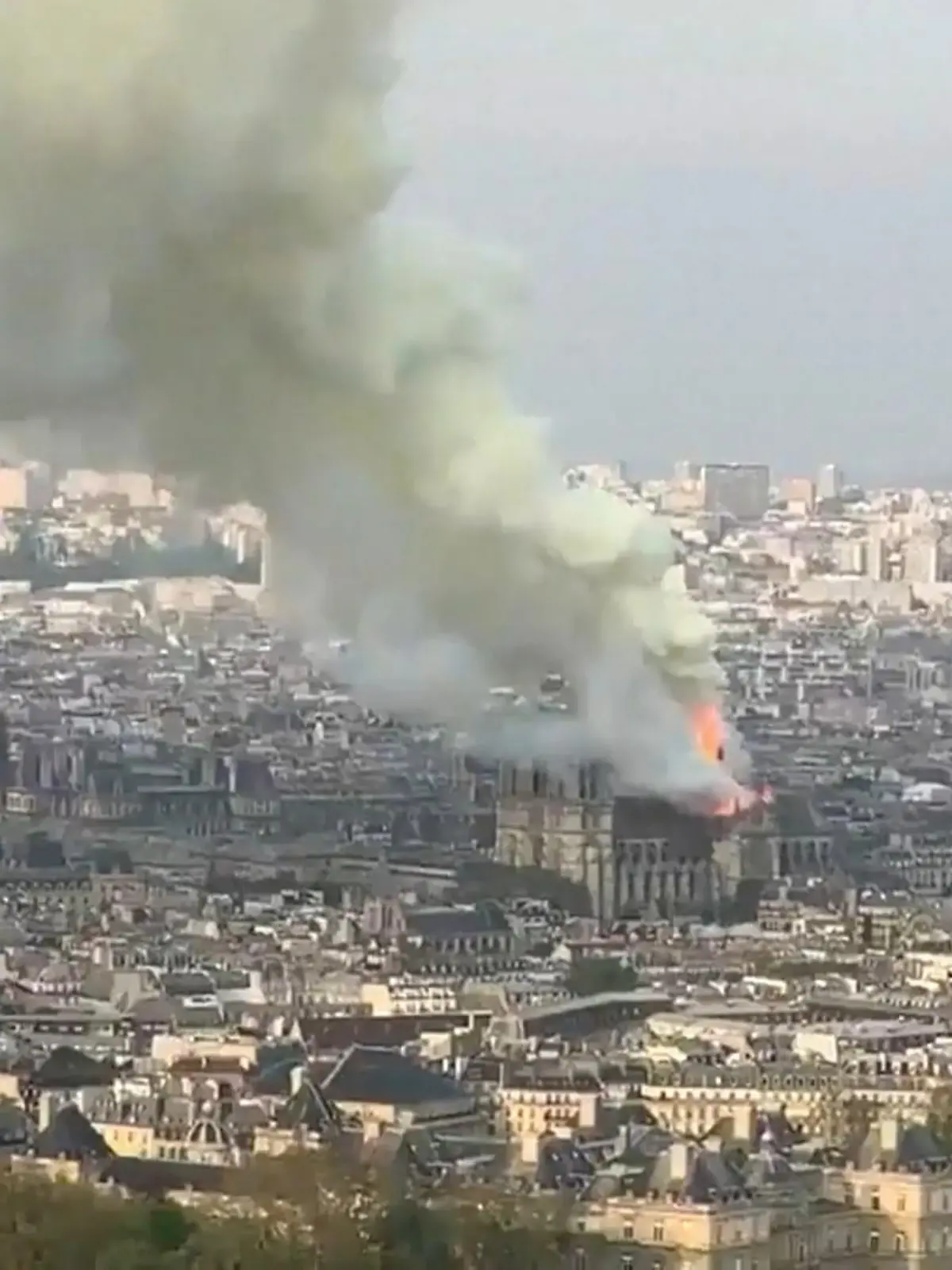 Bild zu: "Kölner Hilfe für Pariser Notre Dame"