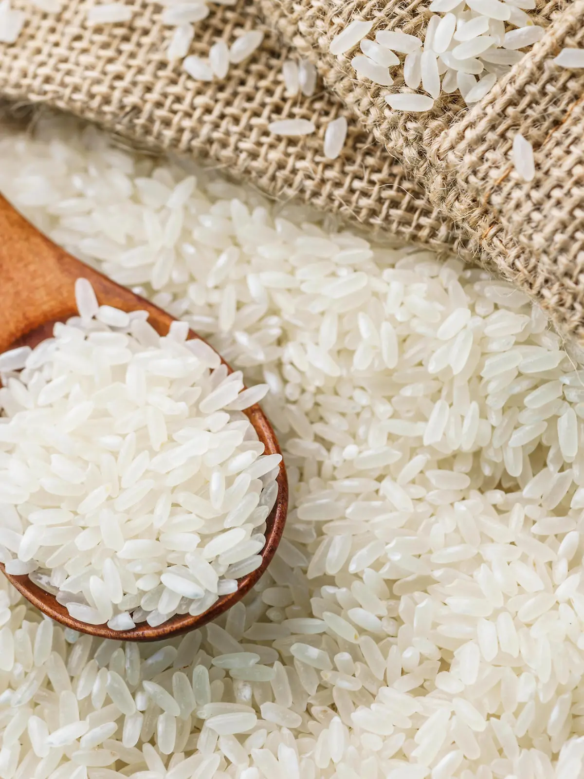 Rice Ingredients