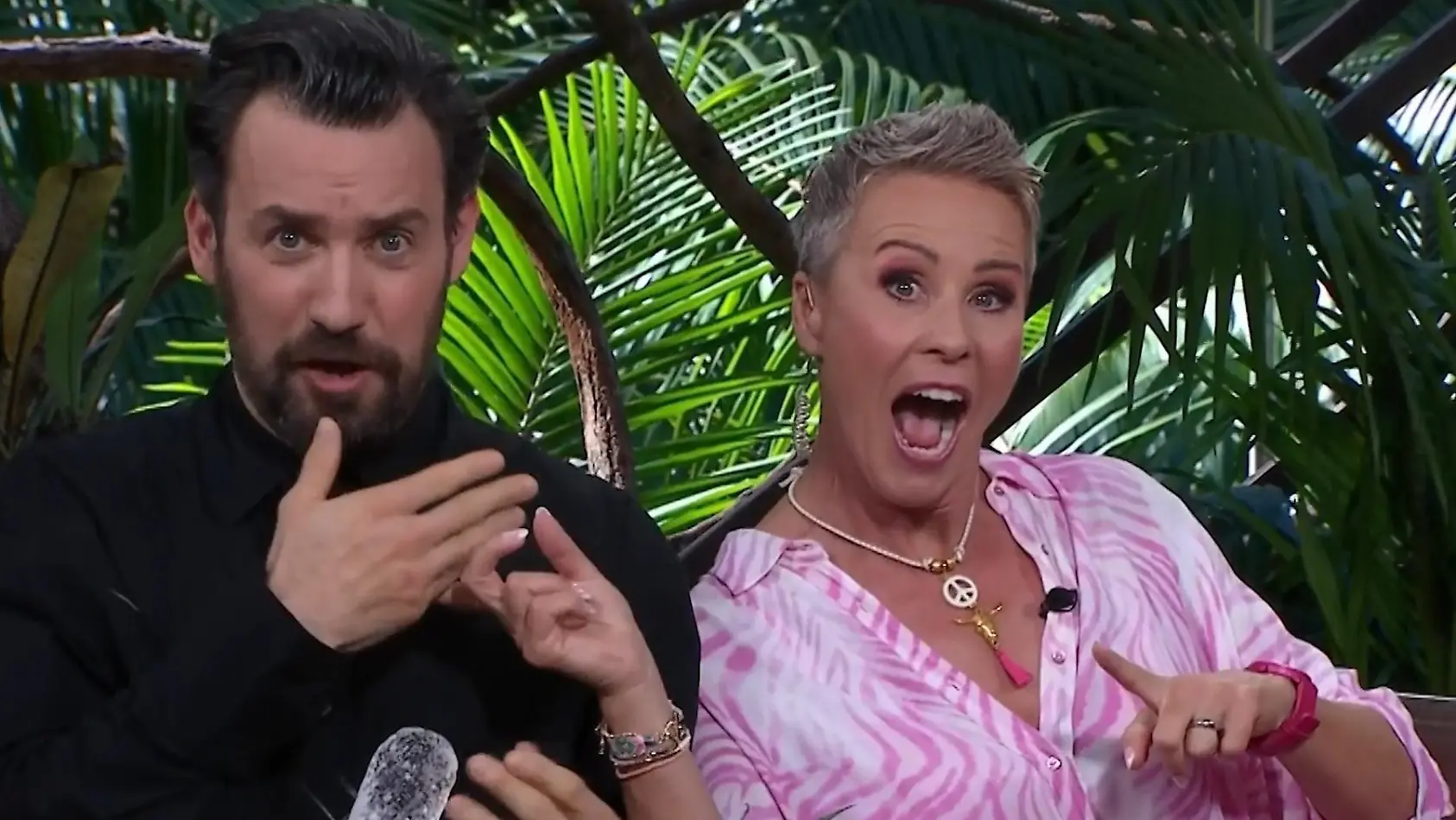 Im Sommer gibt's den Allstar-Dschungel