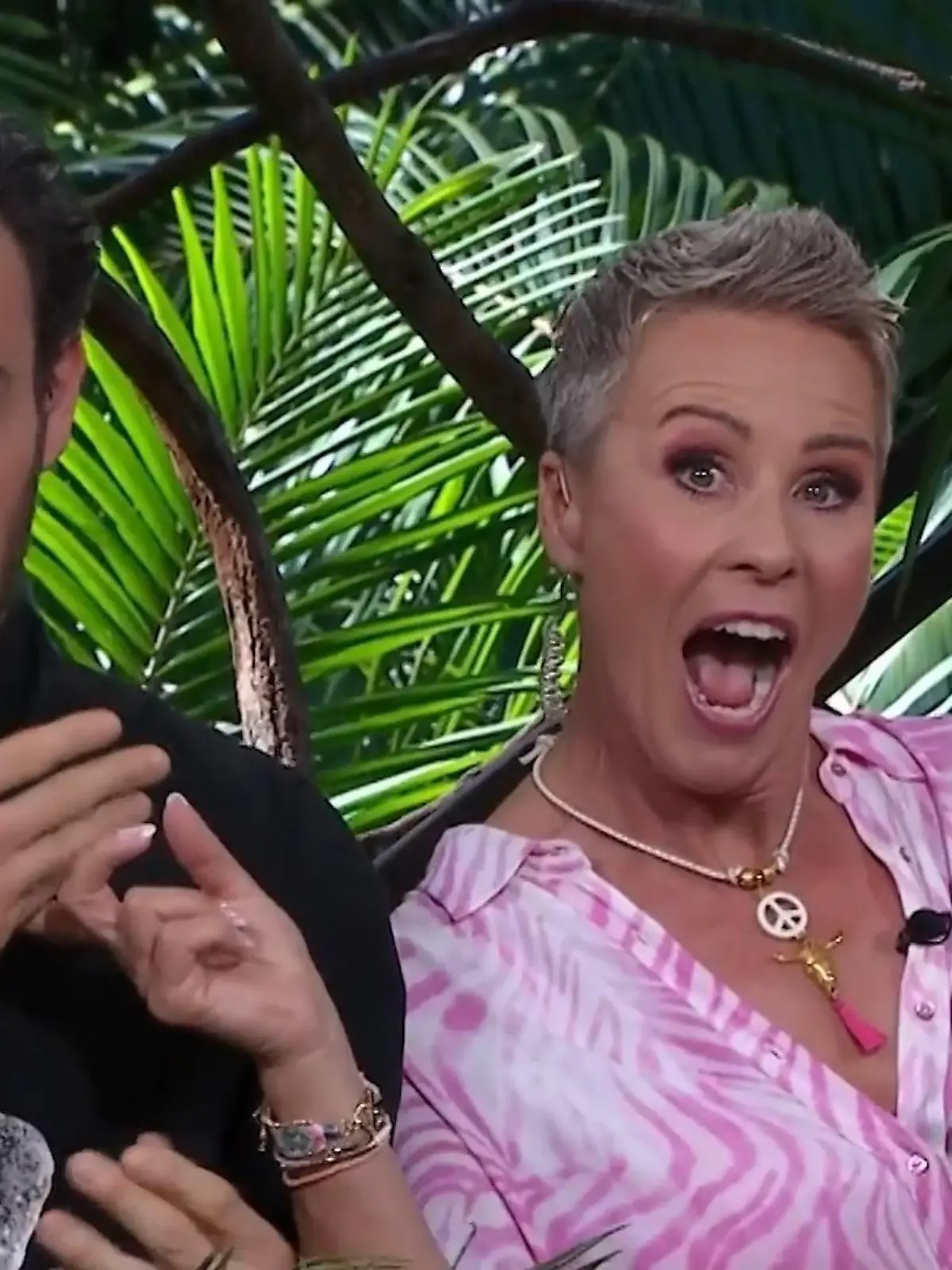 Jan Köppen und Sonja Zietlow kündigen eine weitere Dschungelcamp-Staffel mit Allstars an