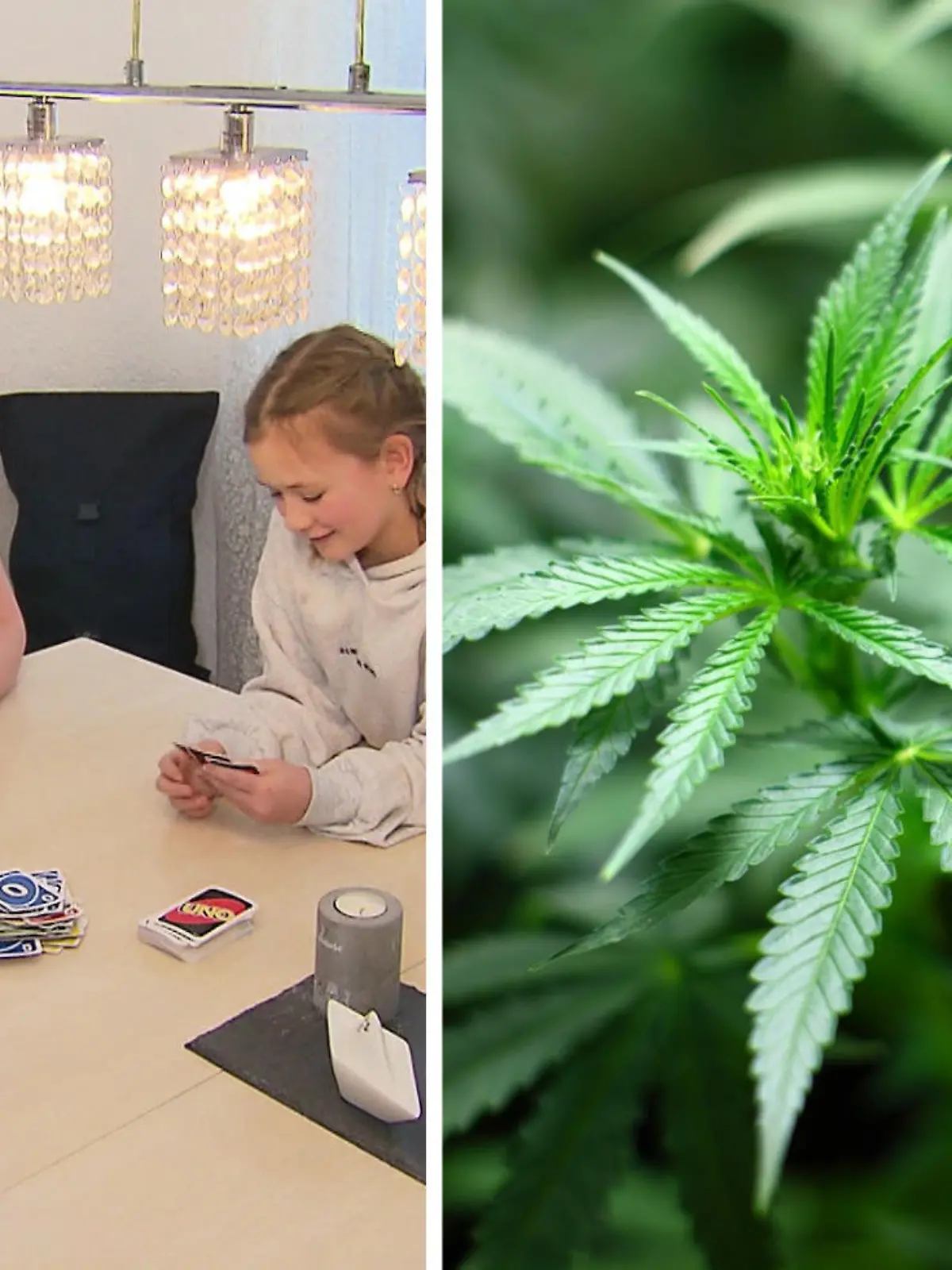 Bild zu: "Cannabisbesitz wird legal - Mutter hofft auf Aufklärung!"