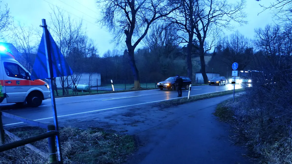 Auf dieser Landstraße wurde ein 8-Jähriges Mädchen von einem Auto erfasst. Der dunkelblaue Unfallwagen kann nicht mehr bremsen, als das Mädchen auf die Straße läuft.