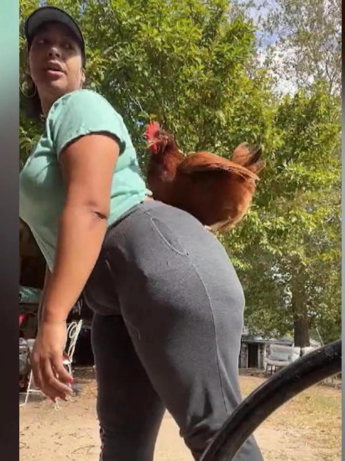Den ganzen Tag auf der Stange sitzen? Langweilig, dachte sich wohl Huhn Karen und flatterte kurzerhand auf den Hintern ihrer Besitzerin. Die war von der plötzliche Attacke aber alles anderen als erfreut.
