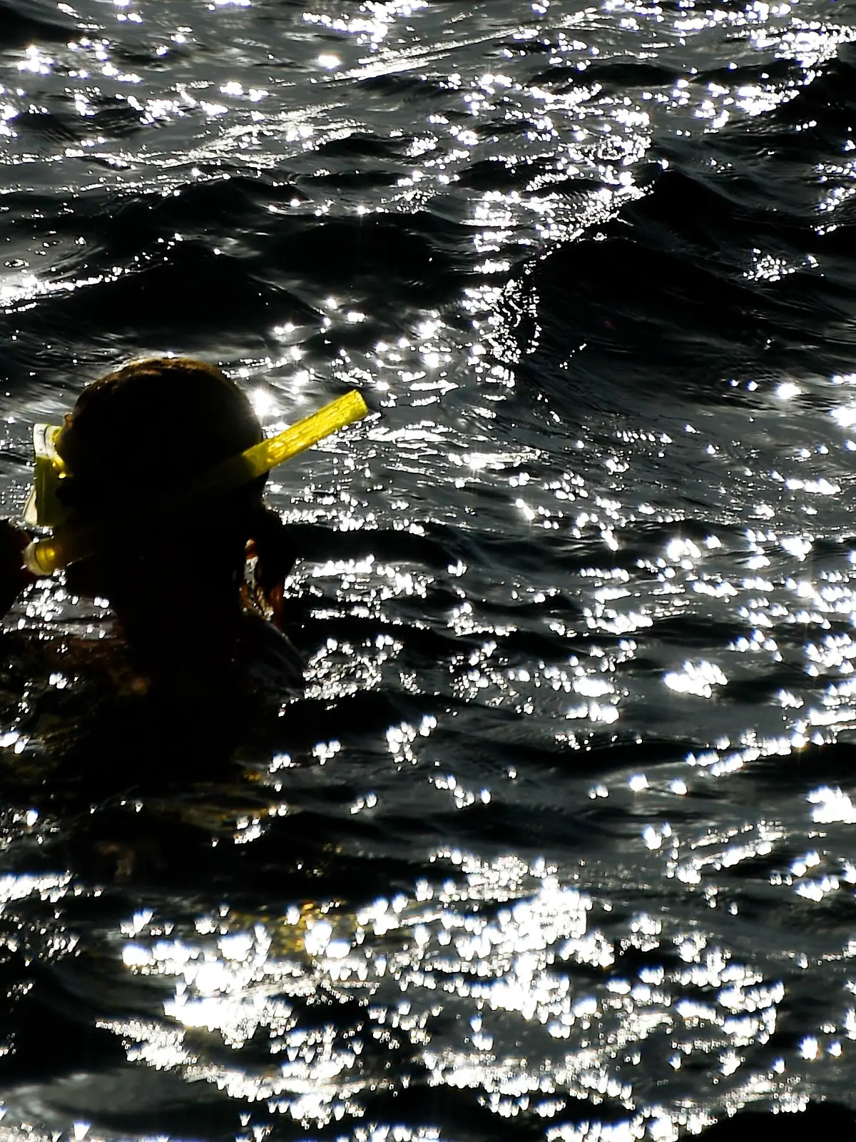 Eine Person schnorchelt im roten Meer, aufgenommen am 24.09.2014 in Ägypten. Foto: Frank May