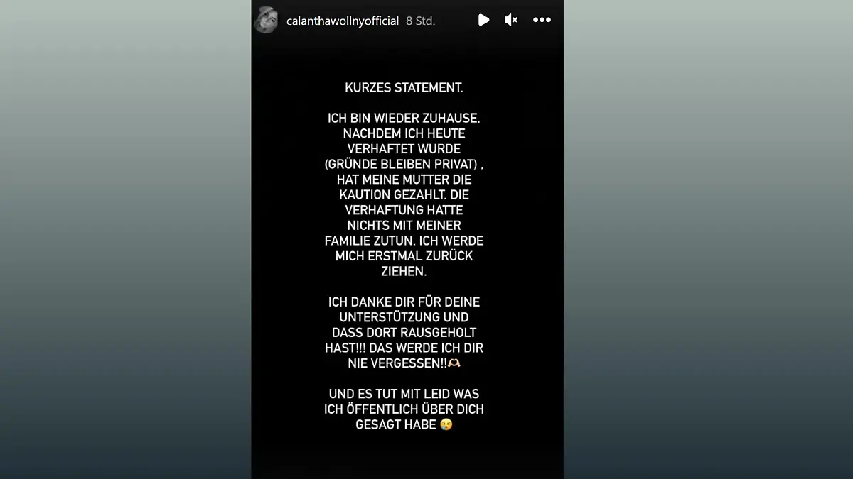 Calantha Wollny verrät in ihrer Story, dass sie verhaftet wurde.