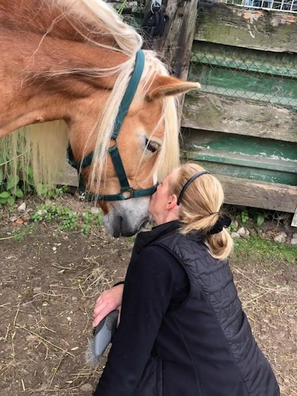 Kann man ein Pferd mit einem Wildschwein verwechseln? Einem Jäger (27) in Oberhausen ist genau das offenbar passiert: Er erschoss das Tier. Jetzt ermittelt die Staatsanwaltschaft.