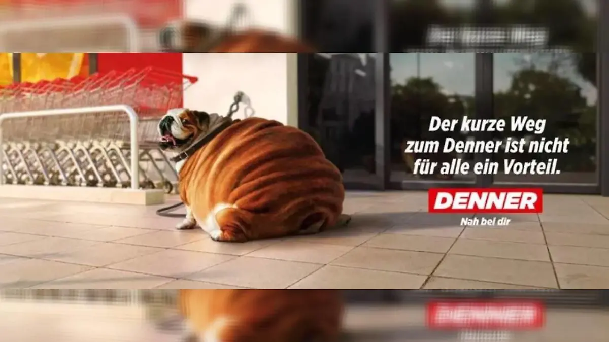 Der Discounter Denner wirbt mit fettleibigen Hunden.
