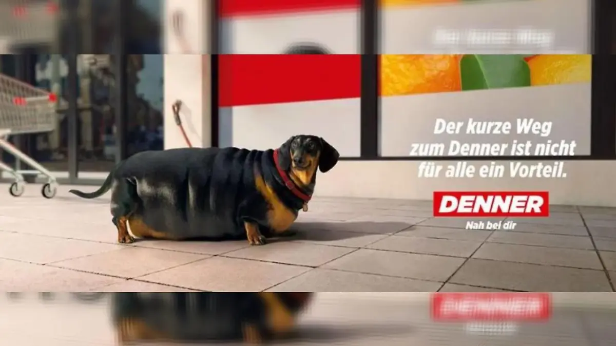 Auch Dackel sind vor den Werbekampagnen des Discounters nicht sicher.