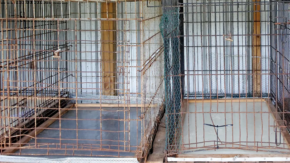 Empty metal cages in animal shelter. Animal care concept. and background