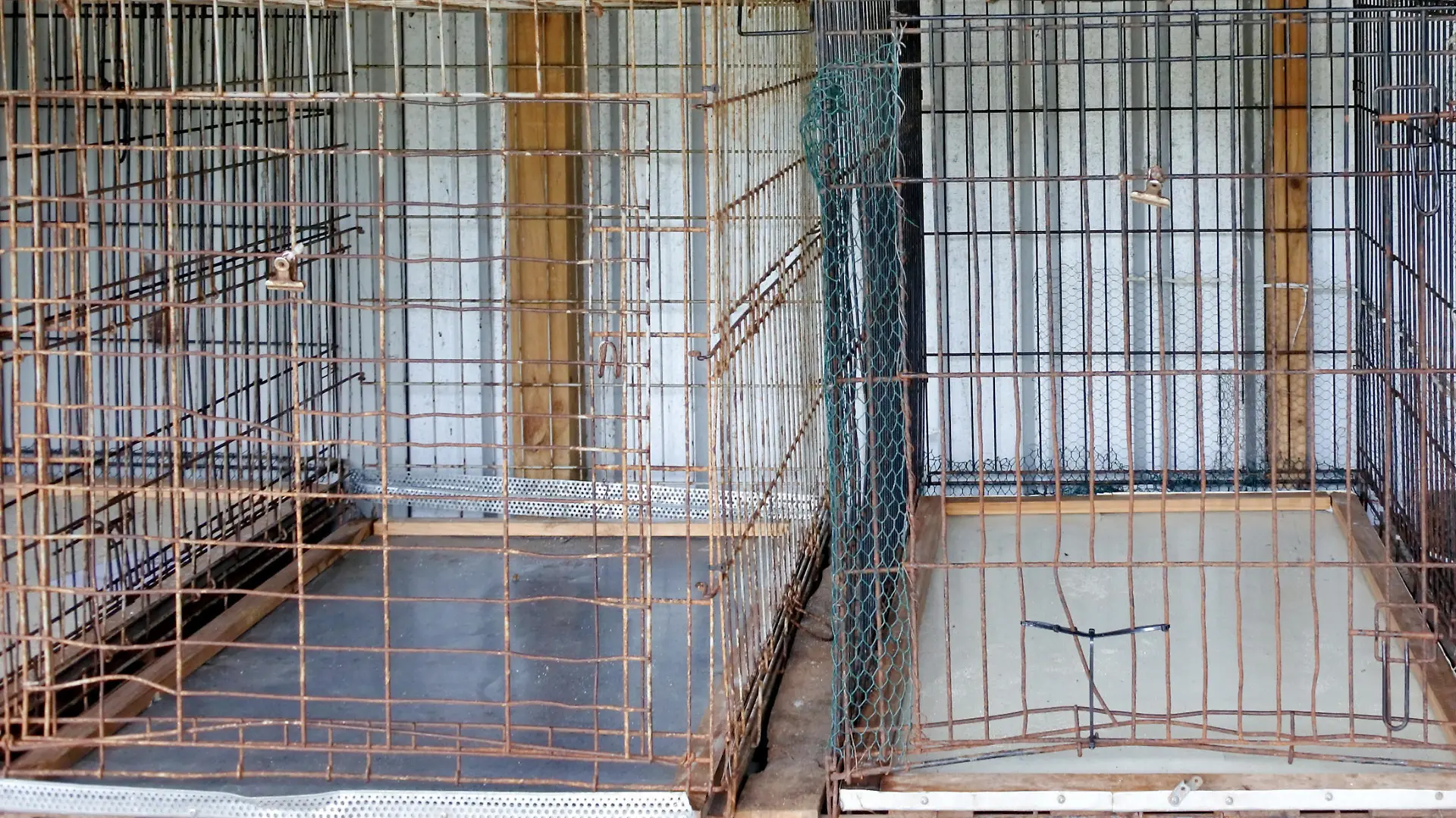 Empty metal cages in animal shelter. Animal care concept. and background