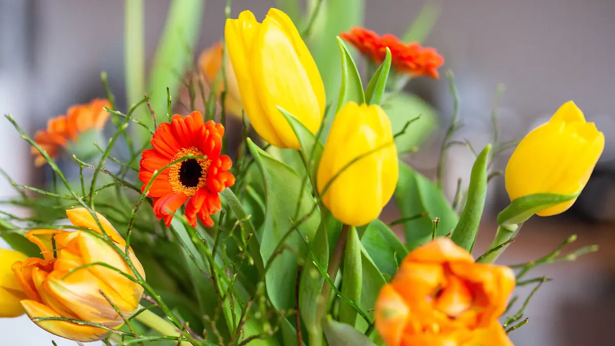 ILLUSTRATION - 10.02.2022, Berlin: Ein Blumenstrauß steht in einer Vase. (zu dpa: «Floristen bereiten sich auf Geschäft zum Valentinstag vor») Foto: Fernando Gutierrez-Juarez/dpa-Zentralbild/dpa +++ dpa-Bildfunk +++