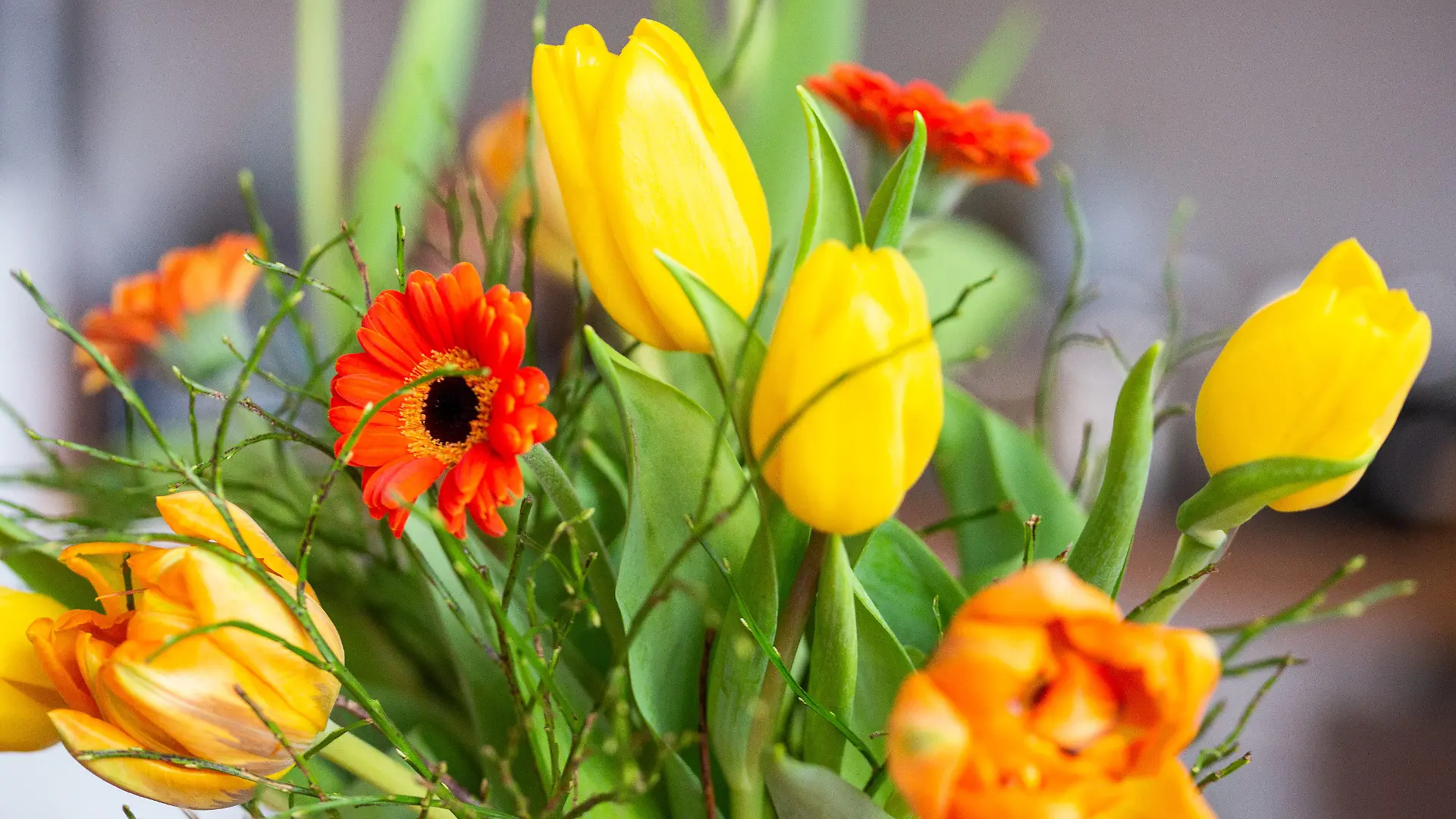 ILLUSTRATION - 10.02.2022, Berlin: Ein Blumenstrauß steht in einer Vase. (zu dpa: «Floristen bereiten sich auf Geschäft zum Valentinstag vor») Foto: Fernando Gutierrez-Juarez/dpa-Zentralbild/dpa +++ dpa-Bildfunk +++