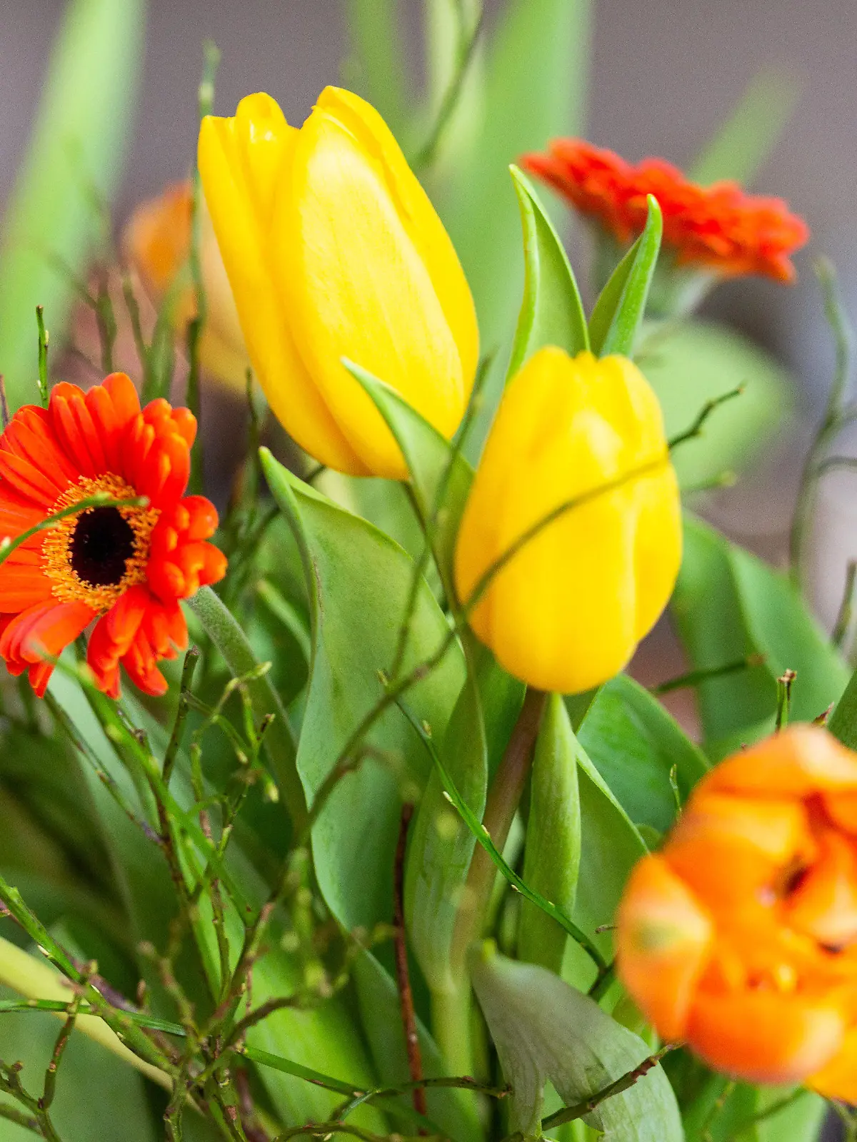 ILLUSTRATION - 10.02.2022, Berlin: Ein Blumenstrauß steht in einer Vase. (zu dpa: «Floristen bereiten sich auf Geschäft zum Valentinstag vor») Foto: Fernando Gutierrez-Juarez/dpa-Zentralbild/dpa +++ dpa-Bildfunk +++
