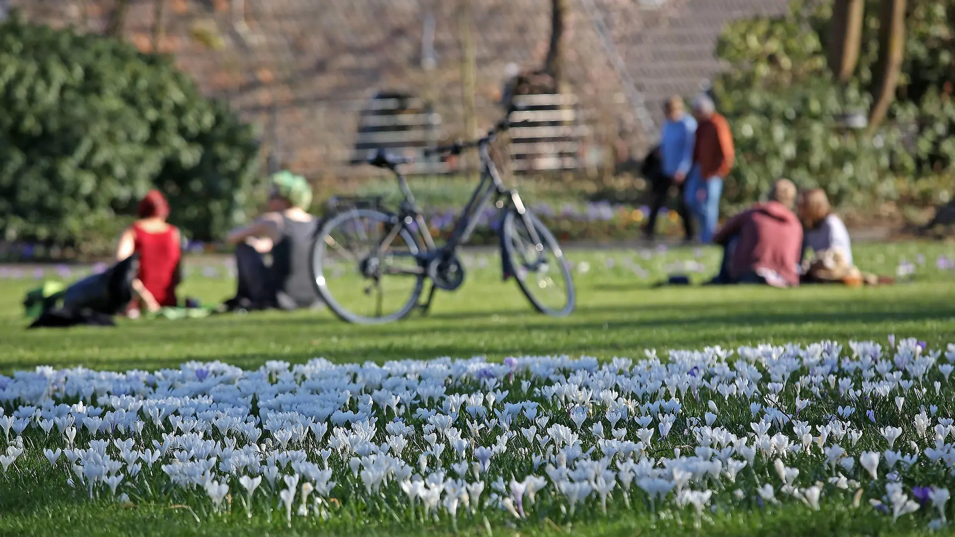 Ein wunderschoener Fruehlingstag Tag bei angenehmen Temperaturen und Traumwetter lockt die Menschen in den Schlossgarten am Oberen Schloss, Krokusse bluehen auf der Wiese Fruehling im Siegerland am 21.03.2019 in Siegen/Deutschland. *** A wonderful spring day day with pleasant temperatures and dream weather attracts the people in the castle garden at the upper castle Krokusse bloehen auf der Wiese Fruehling in the Siegerland on 21 03 2019 in Siegen Germany.