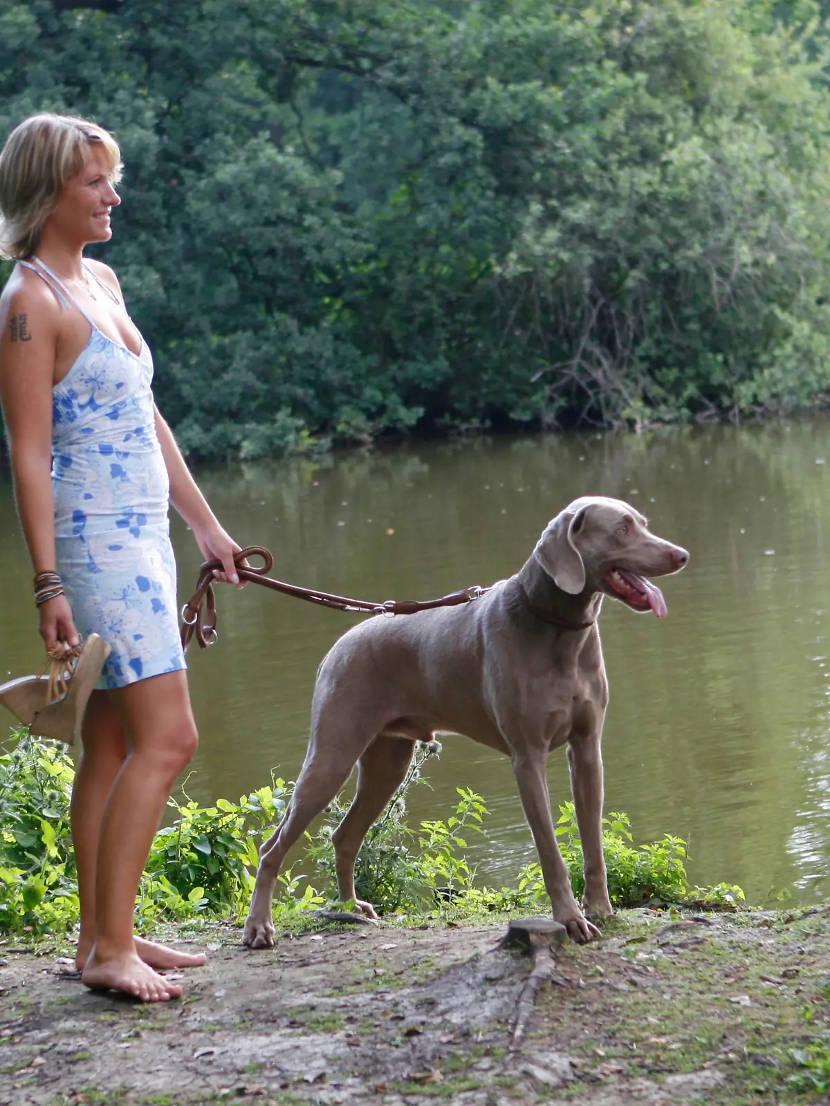 Woman with Weimaraner on leash Frau mit Weimaraner an der Leine / Ruede