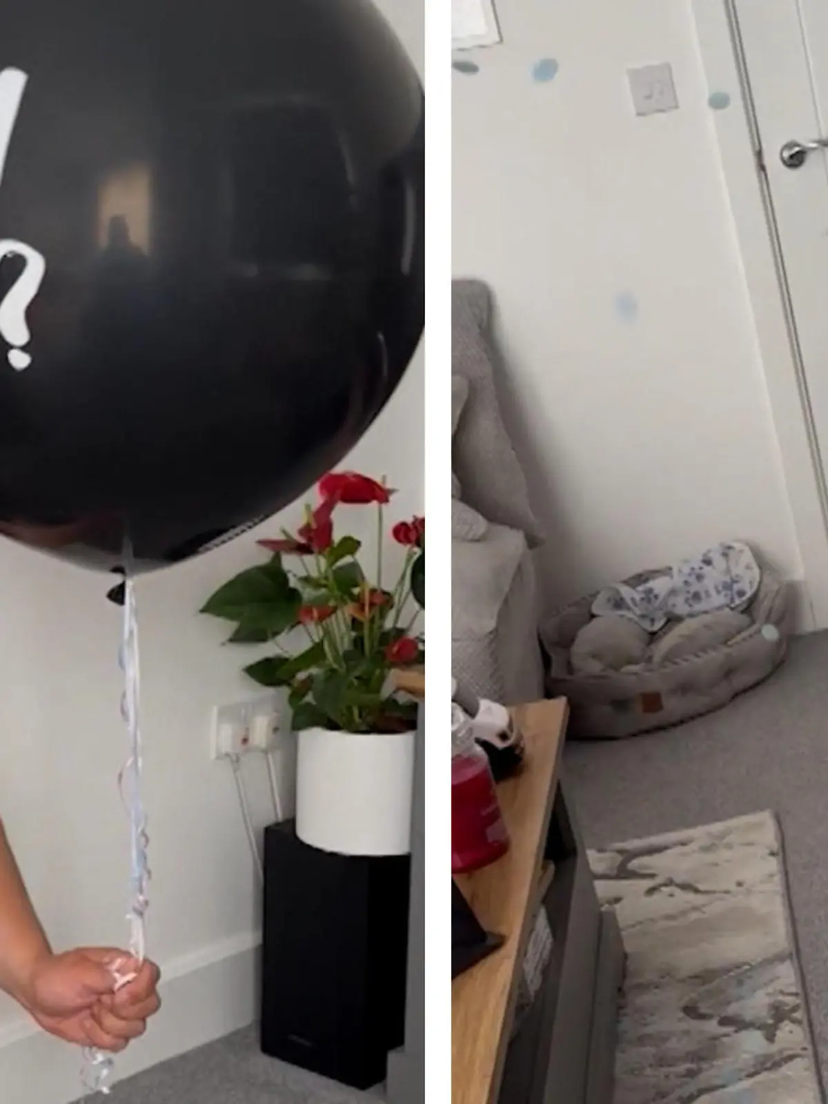 Die kleine Sophia hatte sich sooooo sehr eine kleine Schwester gewünscht, aber es wird ein Junge. Nach der süßen Verkündung mit dem  Ballon gibt es deswegen erstmal einen Wutanfall. Die süßen Szenen seht ihr im Video.