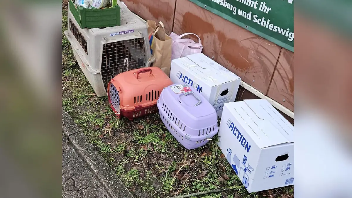 Neben den Boxen und Kartons hatte der Besitzer noch altes Gemüse ín Tüten da gelassen.