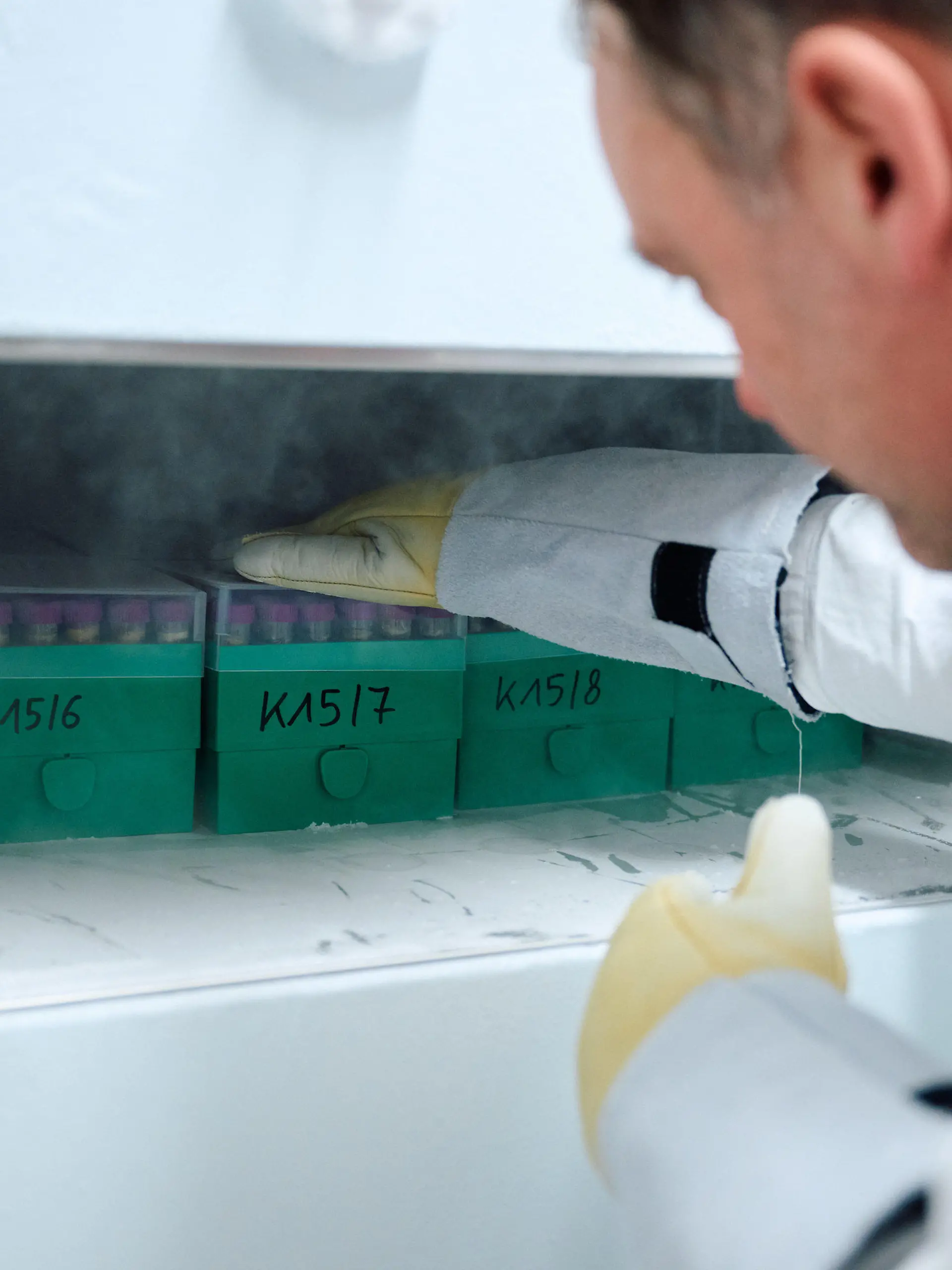 PRODUKTION - 30.01.2024, Nordrhein-Westfalen, Essen: Martin Kraft, Leiter des Fachbereichs Umweltmedizin, Toxikologie und Epidemiologie des Landesamt für Natur, Umwelt und Verbraucherschutz (Lanuv) Nordrhein-Westfalen nimmt tiefgefrorene Urinproben aus einem Gefrierschrank in einem Labor. Mit seinem Team konnte er den Weichmacher Di-n-hexyl-Phthalat (DnHexP), der die Fruchtbarkeit schädigen soll, in zahlreichen Urinproben von Kleinkindern in Nordrhein-Westfalen nachweisen. (zu dpa: «Expertin: Phthalat in vielen Urinproben vielleicht von Sonnencremes») Foto: Bernd Thissen/dpa +++ dpa-Bildfunk +++