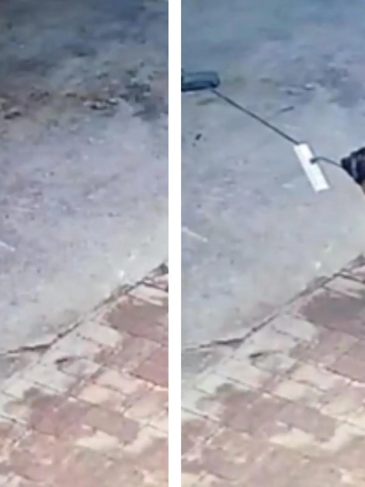 Der mutige Schäferhund bewahrt ein Haus in der chinesischen Stadt Anyang davor abzubrennen. Als sein Herrchen unterwegs ist, fängt plötzlich das Ladekabel eines Rollers Feuer. Der Hund bemerkt den Kabelbrand im Hinterhof und handelt sofort.