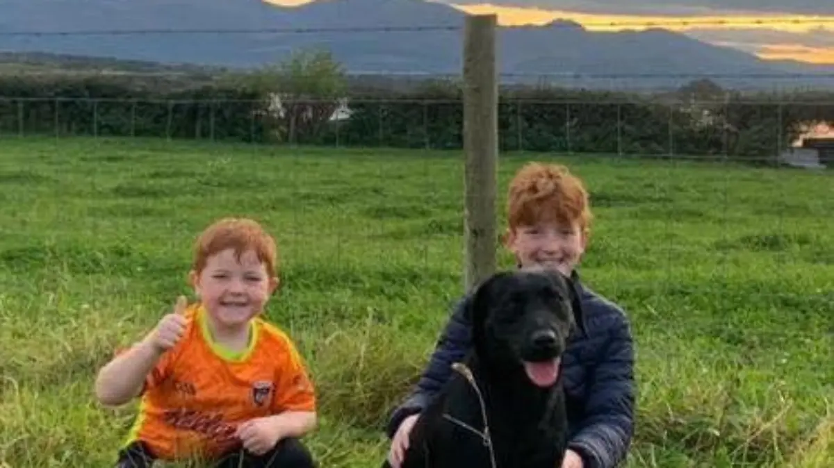 Familie Tumelty trauert um toten Labrador