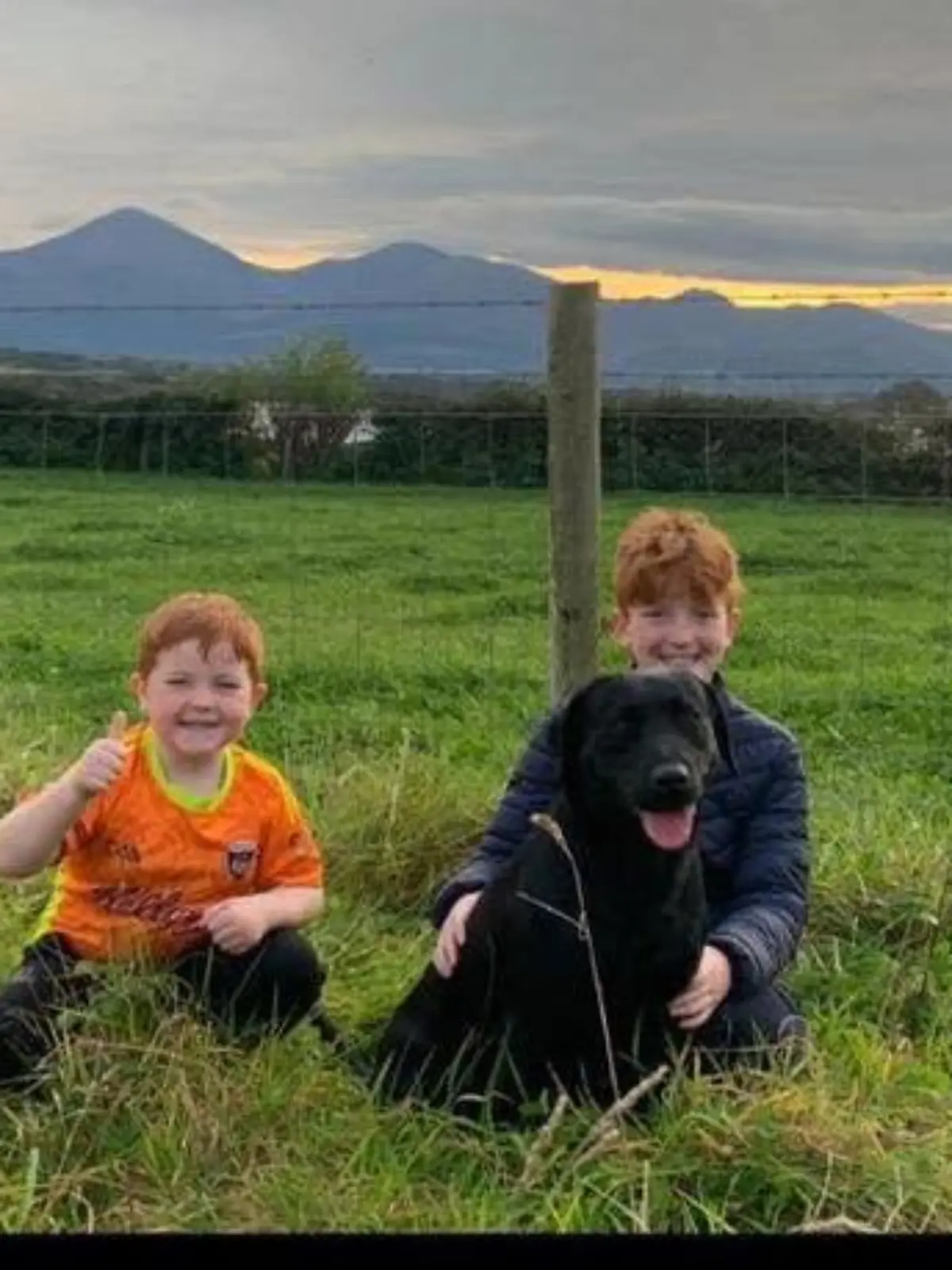 Familie Tumelty trauert um toten Labrador