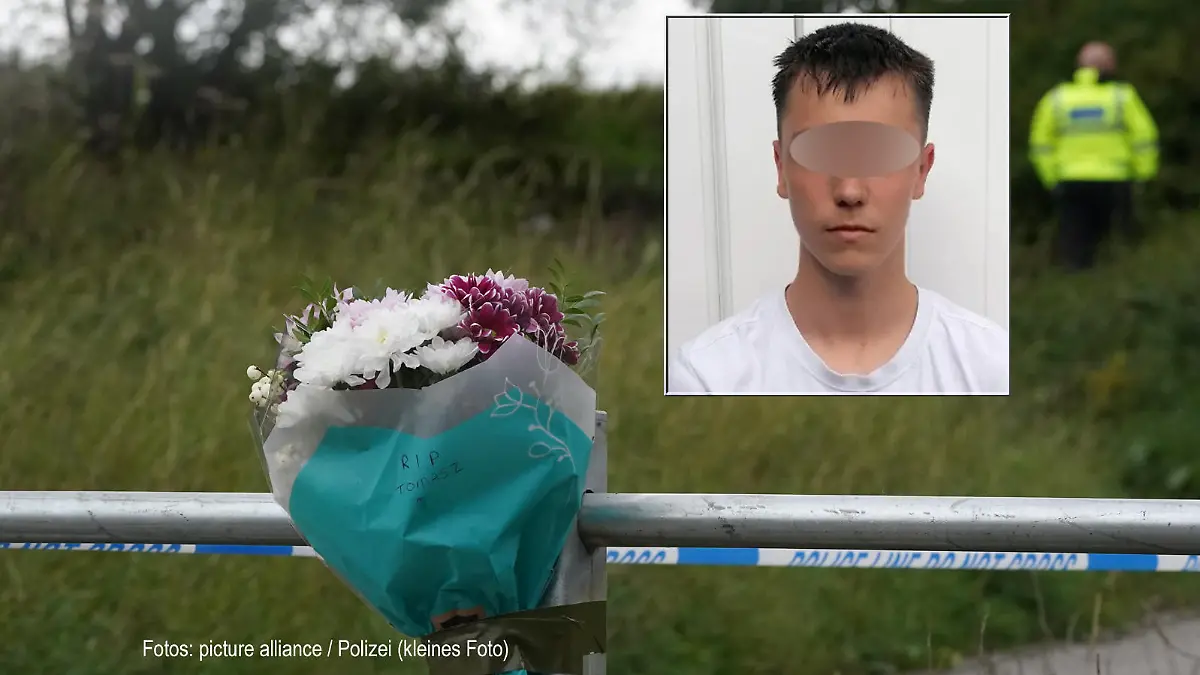 Tomasz