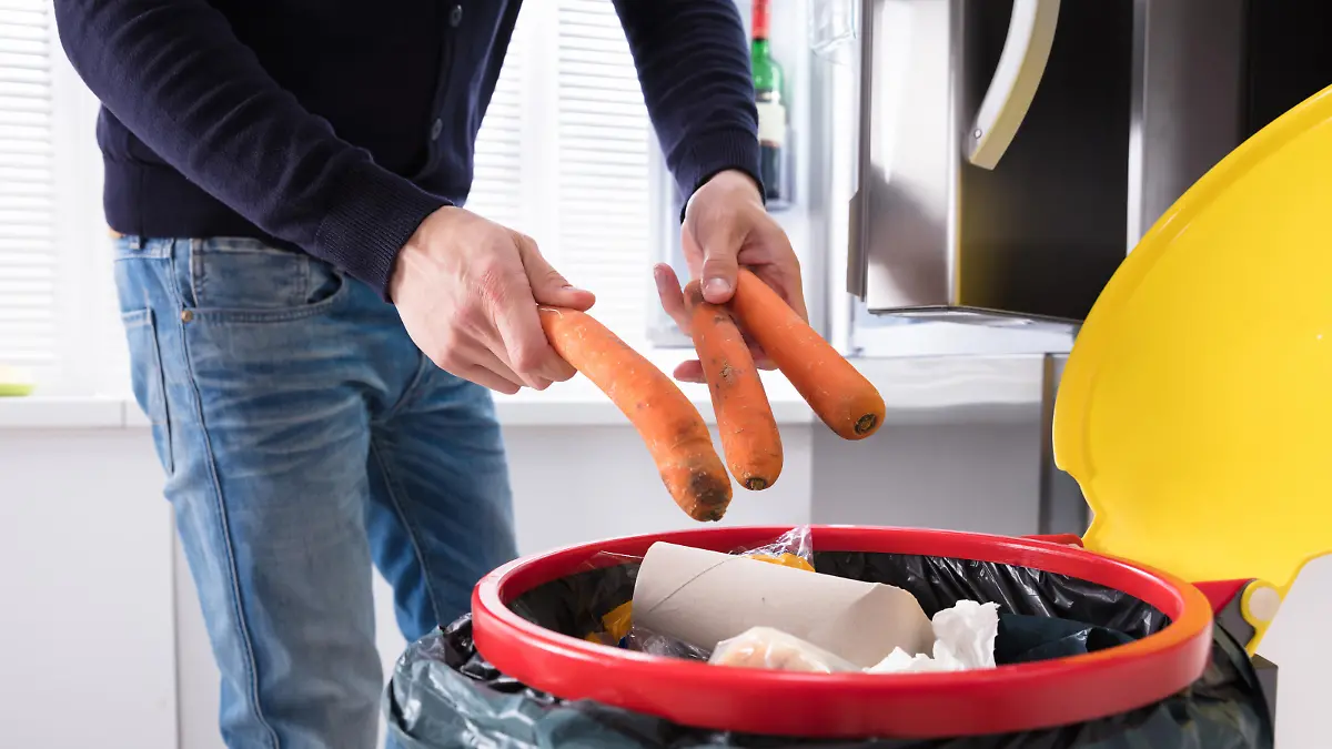 Close-up Of A Person's Hand Throwing Carrot In Dustbin