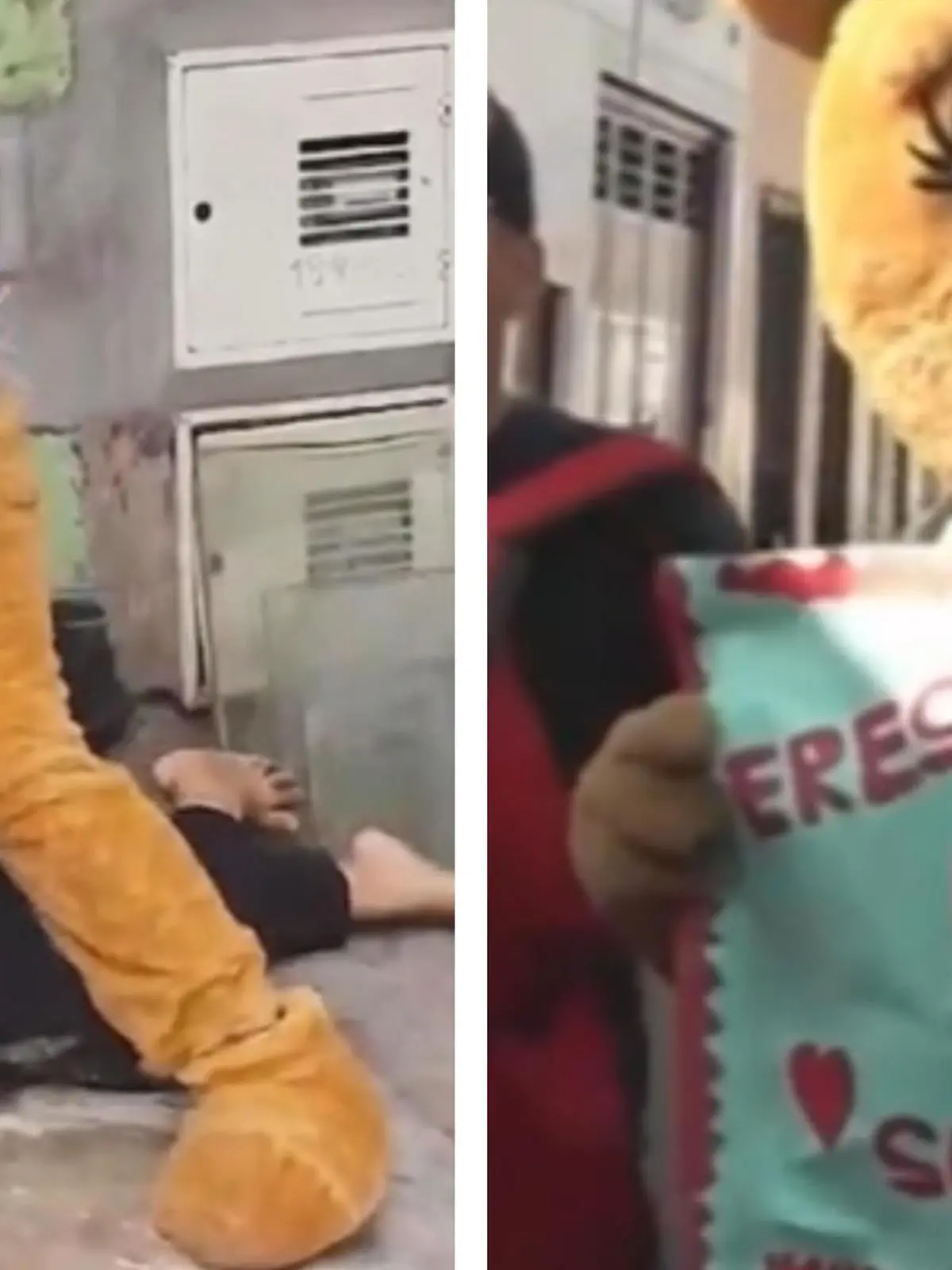 Die peruanische Polizei schlüpft sogar in Kostüme, um Verbrecher zu jagen. An Valentinstag verkleidet sich ein Beamter als Teddy, um eine vermeintliche Drogendealerin aus ihrem Haus zu locken. Statt Rosen bekommt sie Handschellen.