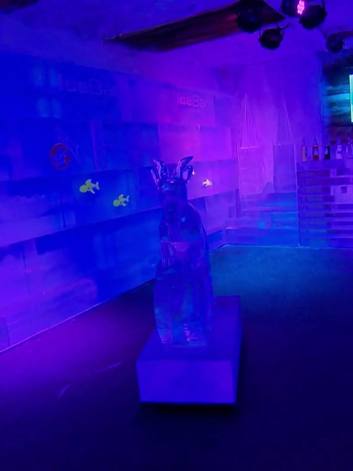 Bild zu: "IceBar eröffnet in Köln"