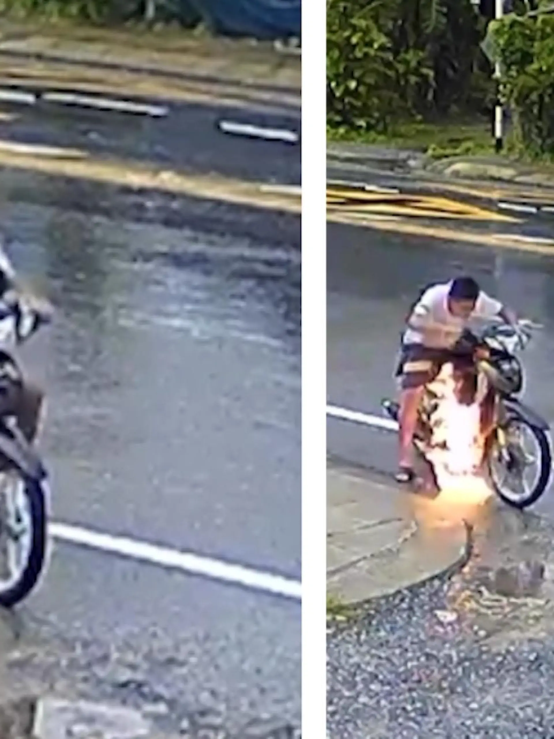 Aufnahmen einer Überwachungskamera zeigen einen brenzligen Moment von drei Jugendlichen in Thailand. Als diese am Straßenrand auf ihrem Motor-Roller einen kurzen Zwischenstopp einlegen, fängt die Maschine plötzlich Feuer - im Video.