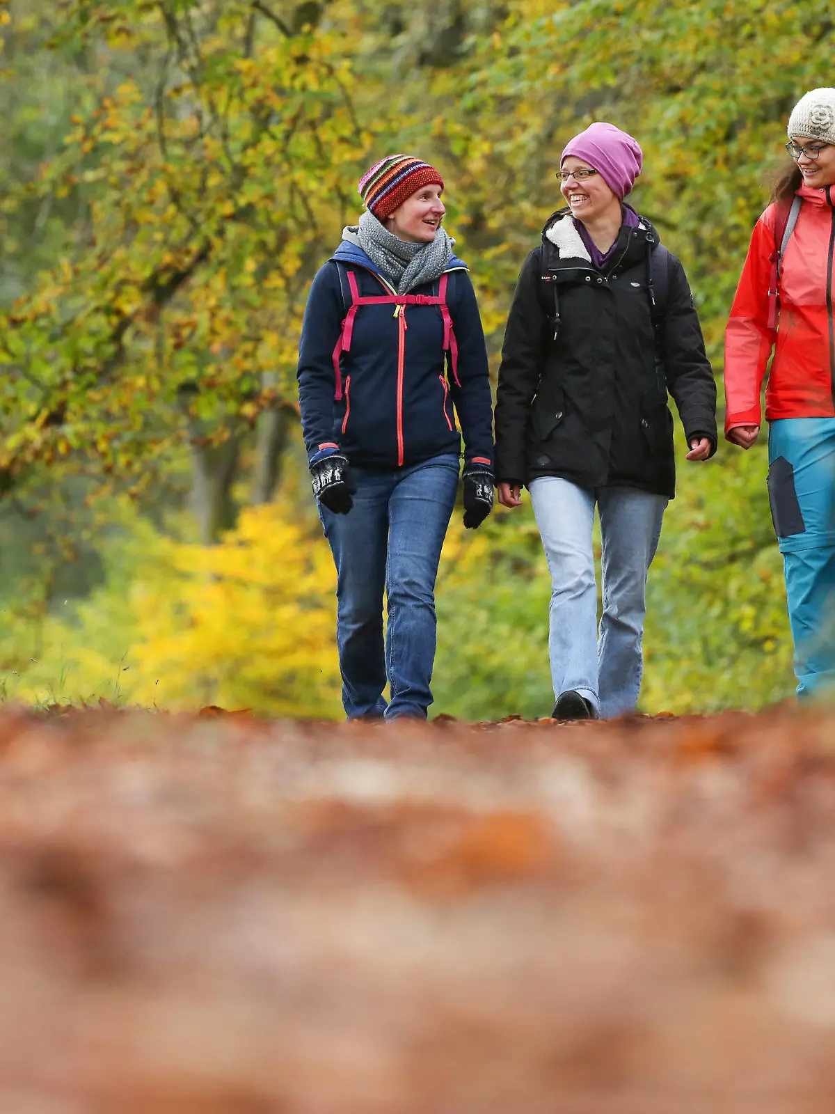 18.10.2020, Baden-Württemberg, Hayingen: Drei Frauen wandern im Lautertal durch eine herbstlich gefärbten Wald, während der Weg vor ihnen mit Herbstlaub bedeckt ist. Foto: Thomas Warnack/dpa +++ dpa-Bildfunk +++
