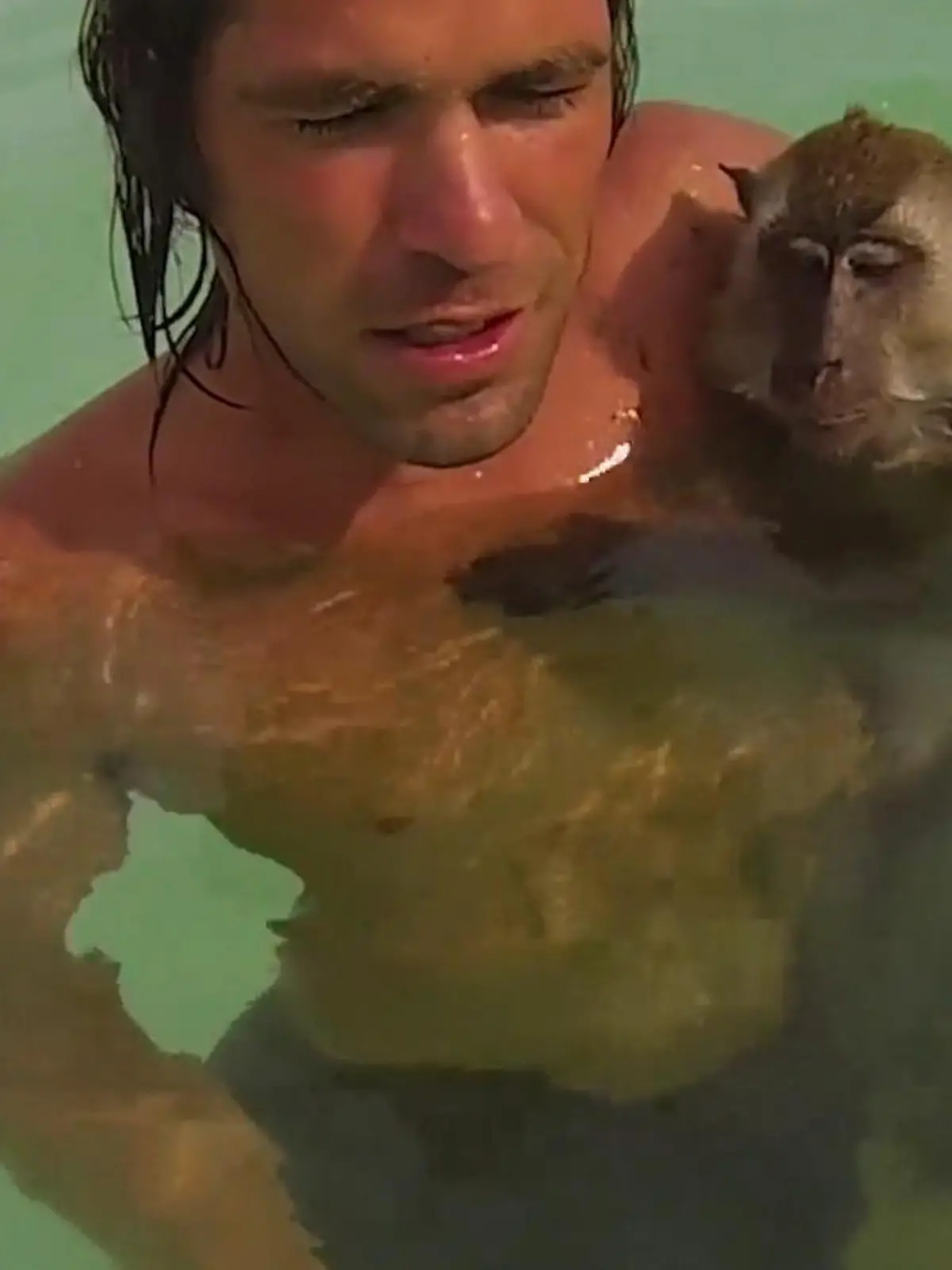 Vor der Küste Indonesiens haben sich zwei gefunden. Alvaro Cerezo (42) aus Malaga in Spanien genießt gerade seinen Urlaub, als er plötzlich tierische Gesellschaft bekommt. Ein wilder Affe will mit dem Touristen schwimmen, tauchen und toben. Und es scheint so, als seien die beiden schon ewig befreundet. Die unglaublichen Bilder seht ihr im Video.