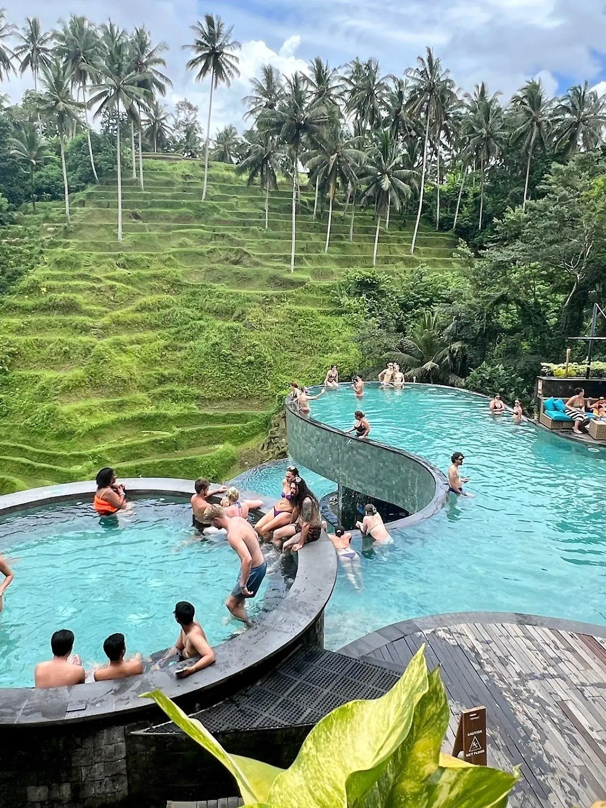 12.02.2024, Indonesien, Ubud: Touristen baden in einem Pool mit Blick auf die berühmten Reisterrassen von Tegallalang. Bali hat eine viel diskutierte «Tourism ax» eingeführt. Das Geld der Urlauber soll vor allem bei der Lösung des massiven Müllproblems helfen. (Zu: «Love Bali»: Trauminsel kassiert Touristensteuer) (zu dpa: ««Love Bali»: Trauminsel kassiert Touristensteuer») Foto: Carola Frentzen/dpa +++ dpa-Bildfunk +++